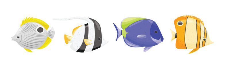 Exotic Tropical Fish of Different Shapes and Colors Vector Set