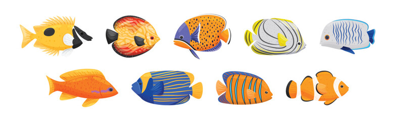 Fototapeta premium Exotic Tropical Fish of Different Shapes and Colors Vector Set
