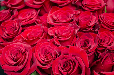 Red velvet roses are a luxurious romantic bouquet. - 584589954