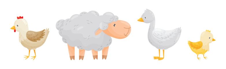 Farm Poultry and Livestock with Sheep, Hen, Goose and Chick Vector Set