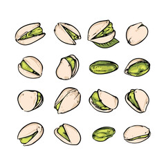 Set of pistachio nuts. Hand drawn vector illustration