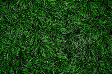 Natural background with grass texture