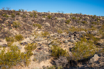 Fototapeta na wymiar Brushlands Along Trail at Mojave National Preserve