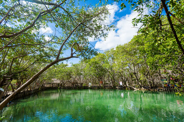 El Corchito Ecological Reserve Mexico