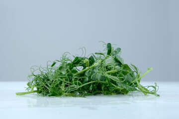 Freshness pea plants  on a grey background. Ready-to-eat super food microgreens pea plants  on a...