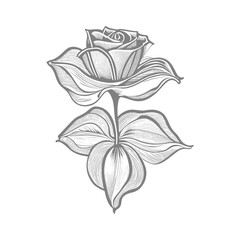 A Cute Roses Vector artwork coloring page, coloring book, black outline hand drawn sketch. Vector element for natural, wedding design, plant, botanical illustration, coloring book, line art