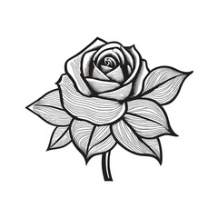 1 Nice Roses Vector artwork coloring page, coloring book, leaves, black outline hand drawn sketch. Vector element for natural, wedding design, plant, botanical illustration, coloring book, line art.