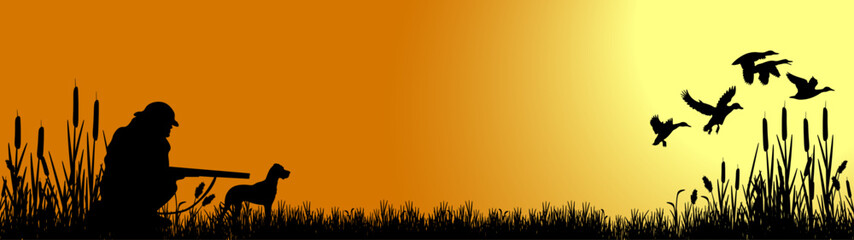 Wildlife duck animals hunting hunt panorama vector illustration - Black silhouette of hunter with rifle gun and dog in reed bog shoots at flying mallard ducks, morning sunrise sky