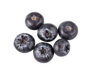blueberry isolate on transparent png
