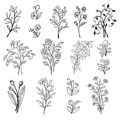flowers, black and white flowers, vector image, outline image, outline,