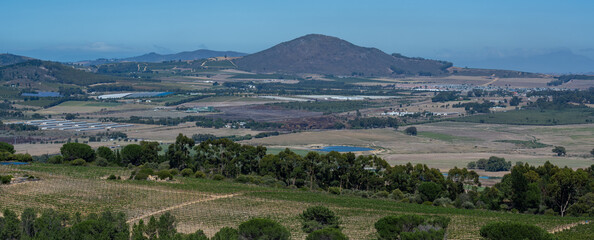 Wine growing area near the small industrial town of Paarl - 584626172