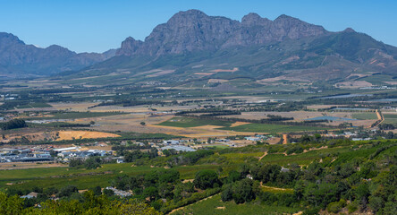 Wine growing area near the small industrial town of Paarl - 584626190