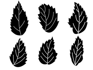 Set of leaves silhouettes isolated on white background. leaves vector illustration.  Icons set isolated on black. Design element for frame, logo, prints, posters, template, abstract vector background.