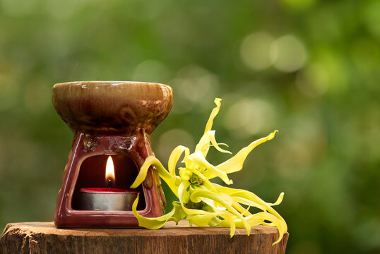 Aromatherapy with ylang-ylang flower and aroma burner on nature background.