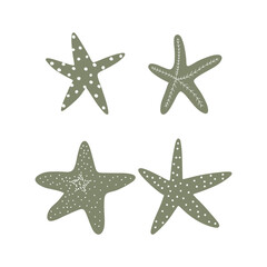 Starfish. Atlantic star. Marine Animal Vector illustration on white background.