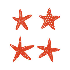 Starfish. Atlantic star. Marine Animal Vector illustration on white background.