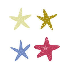 Starfish. Atlantic star. Marine Animal Vector illustration on white background.