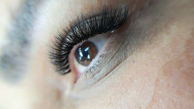 Close up of eye with eyelash extensions ,beauty salon treatment ,2d volume, 3d volume, classical lashes,Russian volume,megavolume, new set