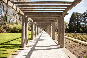 walkway in the garden