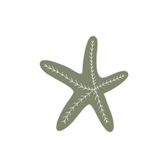 Obraz premium Starfish. Atlantic star. Marine Animal Vector illustration on white background.