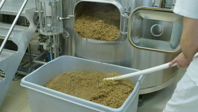 Medium shot of mass of steaming spent barley spilling out of hatch on bottom of lauter tun into container during beer brewing process at brewery, and anonymous employee raking it with hoe