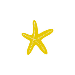 Starfish. Atlantic star. Marine Animal Vector illustration on white background.