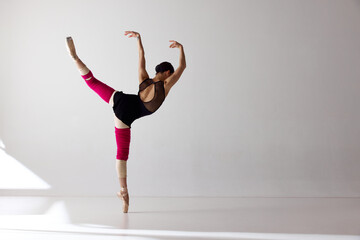 Back view of tender professional ballerina dancing in black bodysuit isolated over white background © Lustre Art Group 