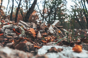 Low angle view of rubble of large concrete blocks in the woods. Concept of environmental issues, industrial. Copy space.