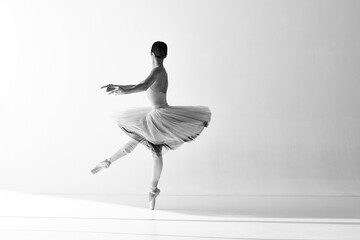Monochrome. One professional ballerina wearing pointe shoes dancing on fingertips with hands over white background. Side view. © Lustre Art Group 