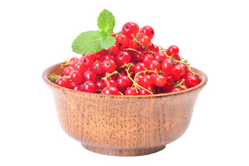 Red currant isolated 