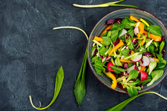 Vegetable vitamin salad with wild garlic