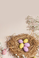 Vertical banner for the Easter holiday. Colored eggs in a straw nest and white spring flowers on a blue background. Place for text. Top view.