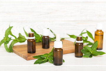 Natural Mint Essential Oil in a Glass Bottle. organic cosmetics with herbal extracts of mint on colored background