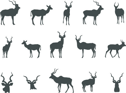Kudu Silhouette, Kudu Horn Silhouette, Antlers Silhouette, Kudu Head, Kudu SVG , Kudu Head Silhouettes