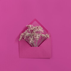 Small gypsophila flowers in a bright pink envelope on a pink background.