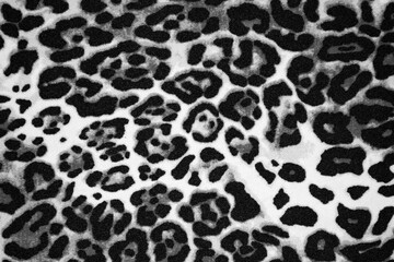 Obraz premium Beautiful leopard Black and white Animal print background texture
