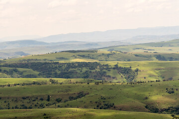 Fototapeta premium landscape with rolling hills in Kwazulu Natal, South Africa showing rural countryside in summer