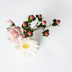 Frühlingsblumen / weißer Hintergrund