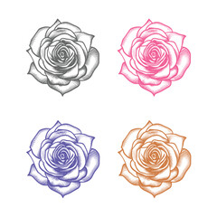 Nice Roses  Vector artwork coloring page, coloring book, black outline hand drawn sketch. Vector element for natural, wedding design, plant, botanical illustration, coloring book, line art.
