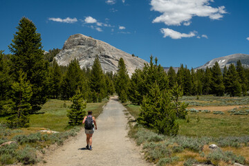 Woman Hikes Toward Lembert Dome in Yosemite