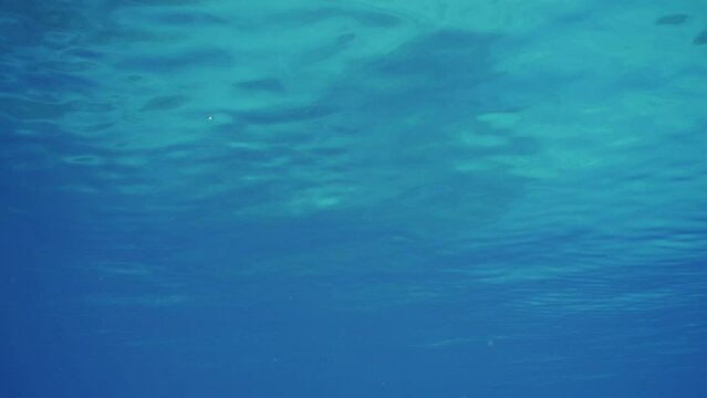 Underwater view of blue water surface during calm, Slow motion. Small swell on surface of Ocean. Calm surface of blue water on bright sunny day. Natural blue water background