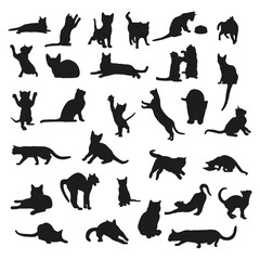 Cats silhouette collection, cat and kitten set, cats in different poses, vector illustration
