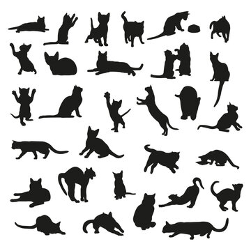 Cats silhouette collection, cat and kitten set, cats in different poses, vector illustration