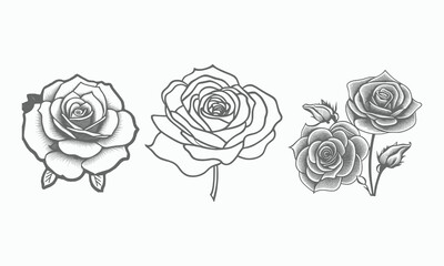 Nice Roses  Vector artwork coloring page, coloring book, black outline hand drawn sketch. Vector element for natural, wedding design, plant, botanical illustration, coloring book, line art.