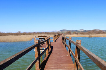 Wooden promenade and beautiful landscape, Lake Vrana, Croatia.