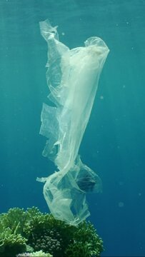 Vertical video, Plastic bag drifts under surface of Ocean in bright sunbeams, slow motion. An old torn transparent plastic bag floats underwater in blue water on sunny day. Plastic pollution of Ocean