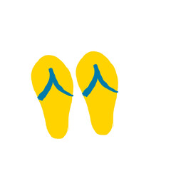 flip flops set