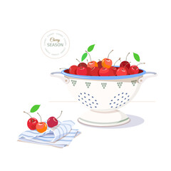 Ripe red cherries in metal enameled colander, handful of cherries on striped linen towel. Printed text of cherry season. Cute vector garden illustration of harvest at country house. 