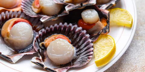 fresh scallop shell seafood meal snack on the table copy space food background rustic top view 