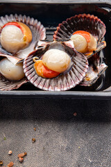 fresh scallop shell seafood meal snack on the table copy space food background rustic top view 